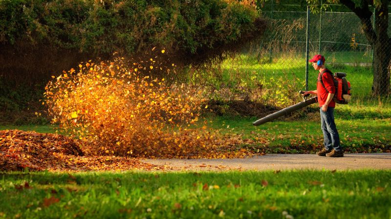 Mulch Blowing Service Options and Details