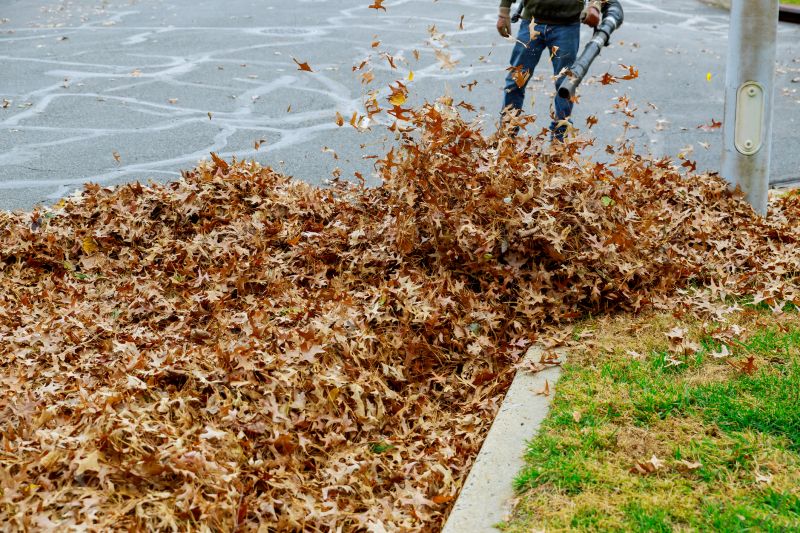 Mulch Blowing Service Options