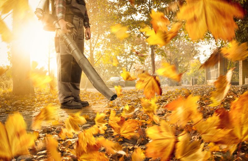 Mulch Blowing Service Promotions