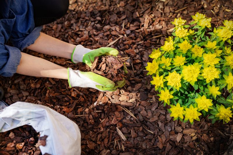 Service Locations for Mulch Blowing Service