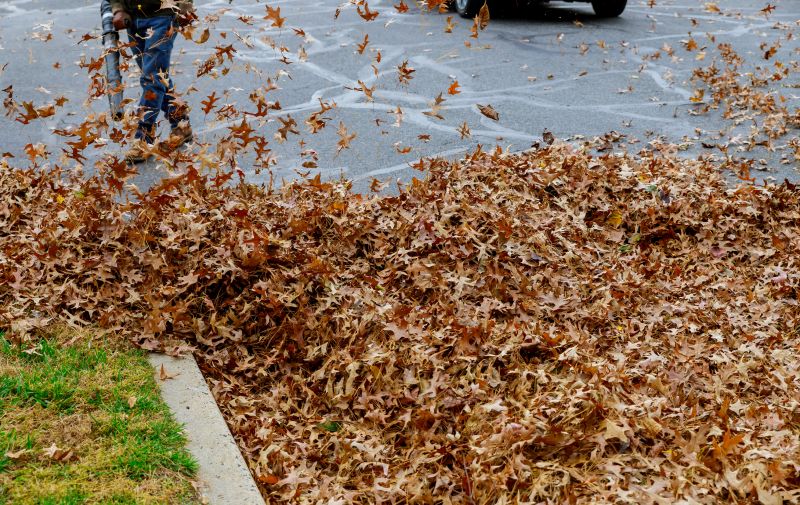Mulch Blowing Service