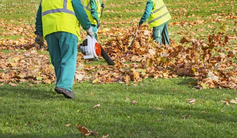 Mulch Blowing Service