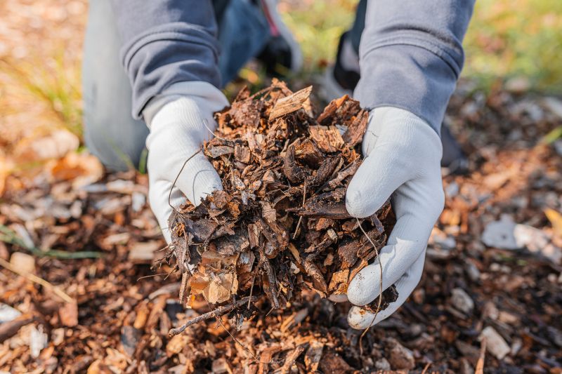 Mulching Leaves
