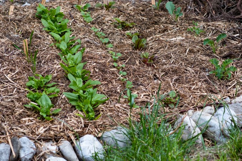 Spread Mulch on Garden Beds