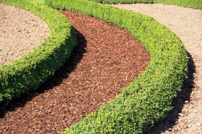 Get Fast and Efficient Mulch Installation!